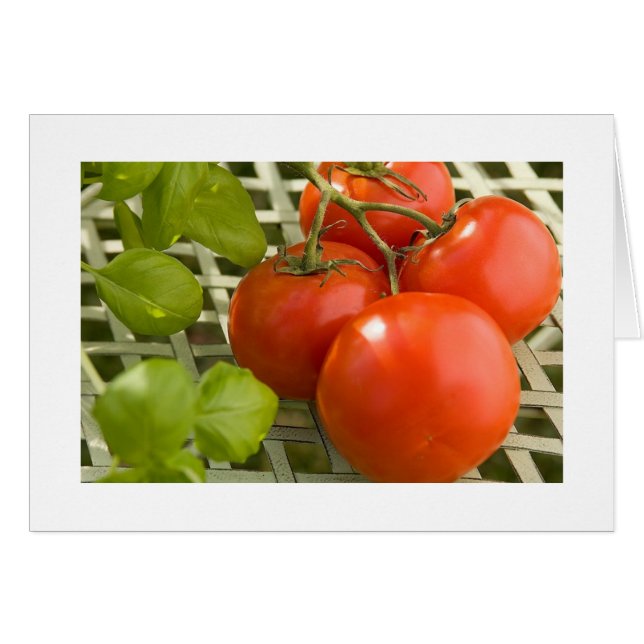 Cartão Placa Cluster Tomato (Frente Horizontal)