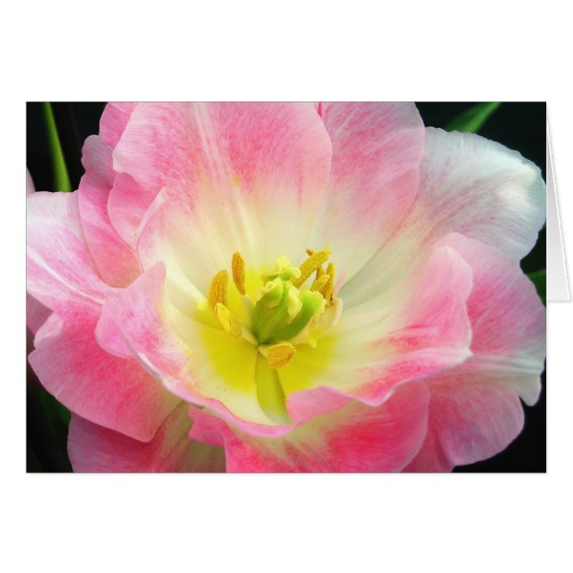 Cartão Placa cor-de-rosa chocante (Frente Horizontal)