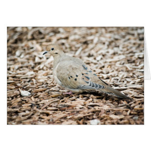 Cartão Placa da porta 1 de luto