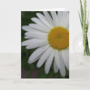 Cartão Placa Daisy (soft sketch)