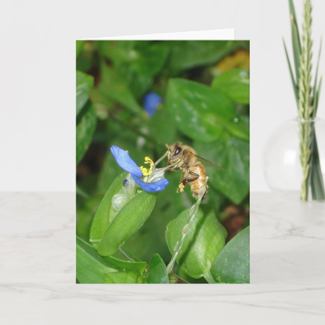 Cartão Placa de abelhas (Frente)