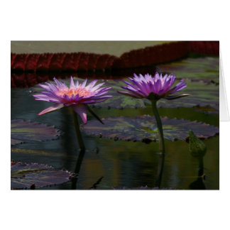 Cartão Placa de Água do Lotus Roxo
