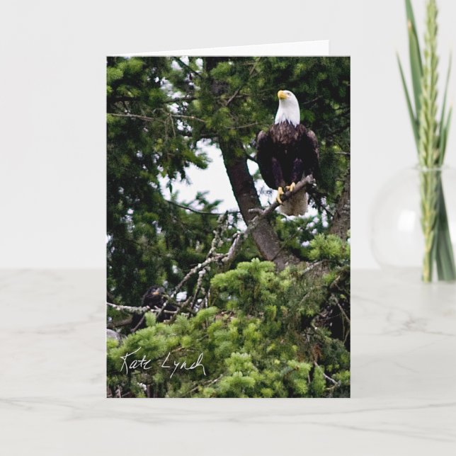 Cartão Placa de ancoragem (Frente)