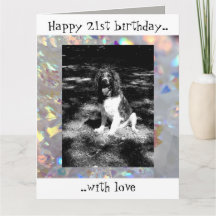 Placa de aniversário de 21 anos do spaniel de spri