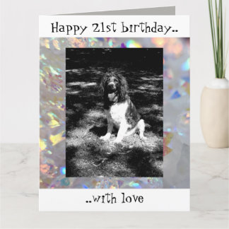 Cartão Placa de aniversário de 21 anos do spaniel de spri