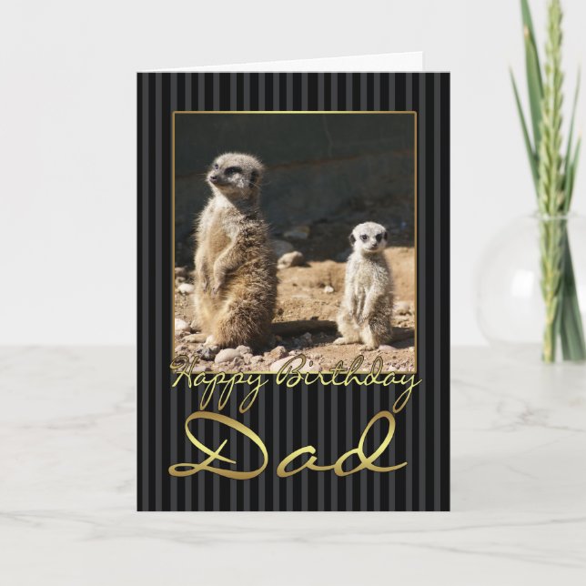Cartão Placa de aniversário de pai com meerkat (Frente)