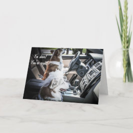 Cartão Placa de Aniversário do Corgis