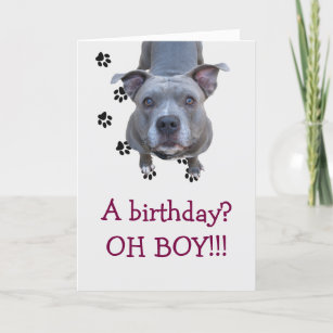 Cartão Placa de Aniversário do Pitbull Mesa
