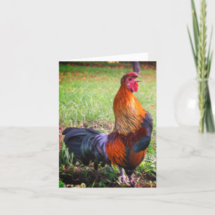 Cartão Placa de anotação de galo 2 Fazenda