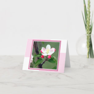 Cartão Placa de anotação de Primavera de Flor de Maçã