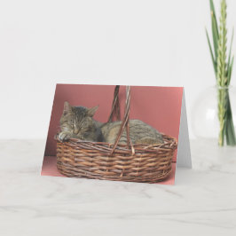 Cartão Placa de anotação do Gatinho de dormir
