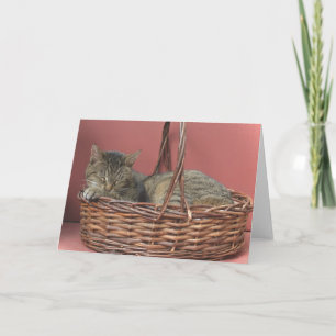 Cartão Placa de anotação do Gatinho de dormir