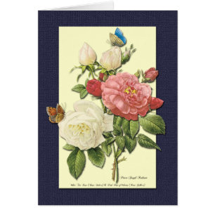 Cartão Placa de Arte Botânica do Vazio White Rosa vermelh