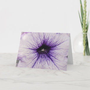 Cartão Placa de Arte de Flor Púrpura bonito Fechar Flor