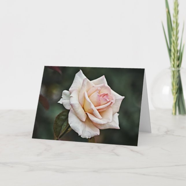 Cartão Placa de arte rosa azul (Frente)