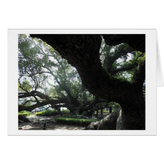 Cartão Placa de árvore divina