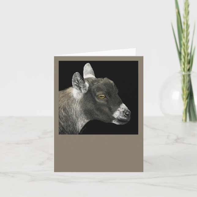 Cartão Placa de Cabra Pigmeus - "Show Goat" (Frente)