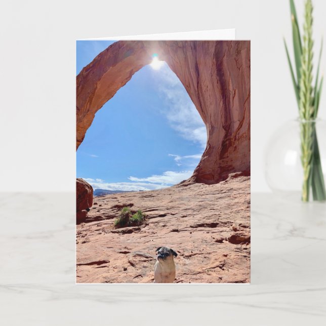 Cartão Placa de Cachorro Feliz para Graduação | Lily Pug (Frente)