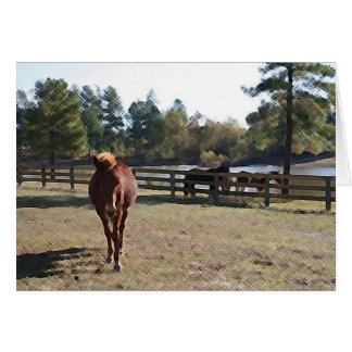 Cartão Placa de Cápsula Sissy