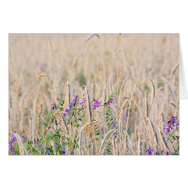 Cartão Placa de Cinza Crescente (Frente Horizontal)