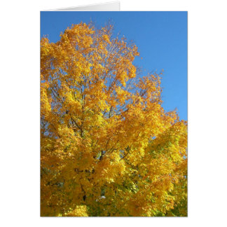 Cartão Placa de Cores de Queda