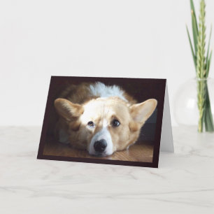 Cartão Placa de Corgi de Arte Fotográfica