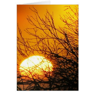 Cartão Placa de Delícias Sunset