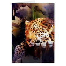 Placa de dentro de Vazio de Gato Grande Todas as O