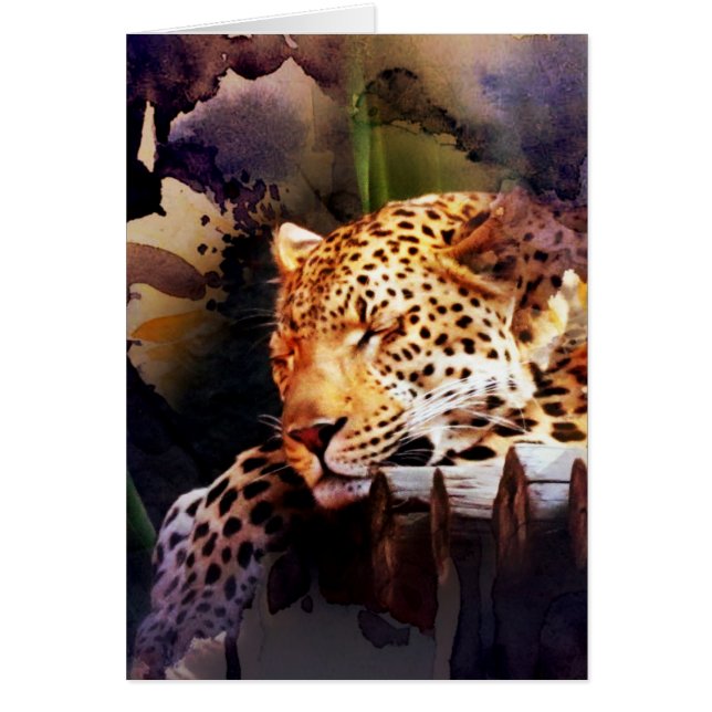 Cartão Placa de dentro de Vazio de Gato Grande Todas as O (Frente)