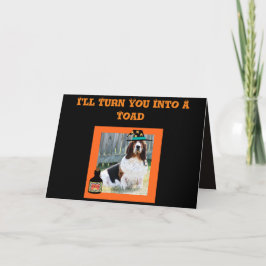 Cartão Placa de Dia de as Bruxas engraçado com bruxas e S