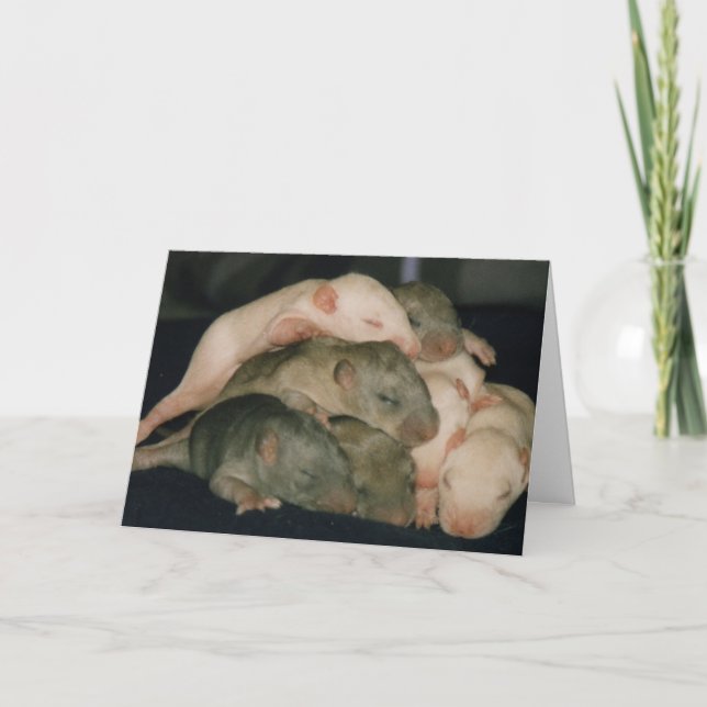 Cartão placa de dia de as mães (Frente)