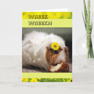 Cartão Placa de Dia de as mães bonito para porcos