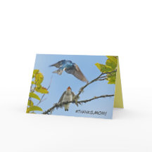 Placa de dia de as mães com hastes de árvore