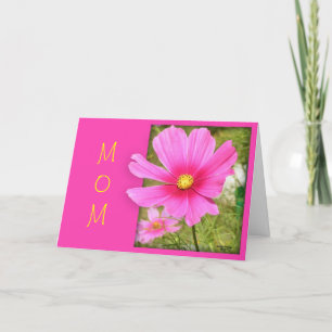 Cartão Placa de Dia de as mães Cosmos