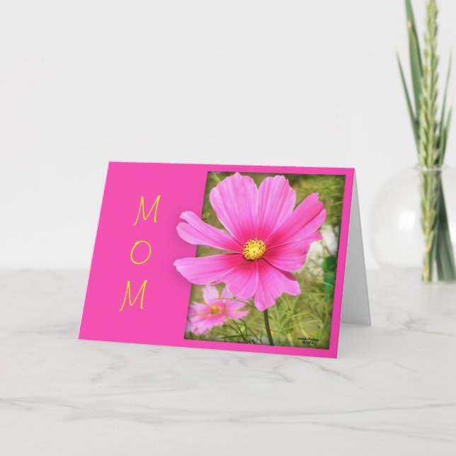 Cartão Placa de Dia de as mães Cosmos (Frente)