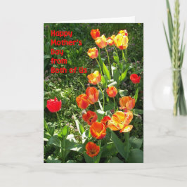 Cartão Placa de dia de as mães 'de nós dois' - 'Tulips'