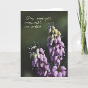 Cartão Placa de dia de as mães em checo