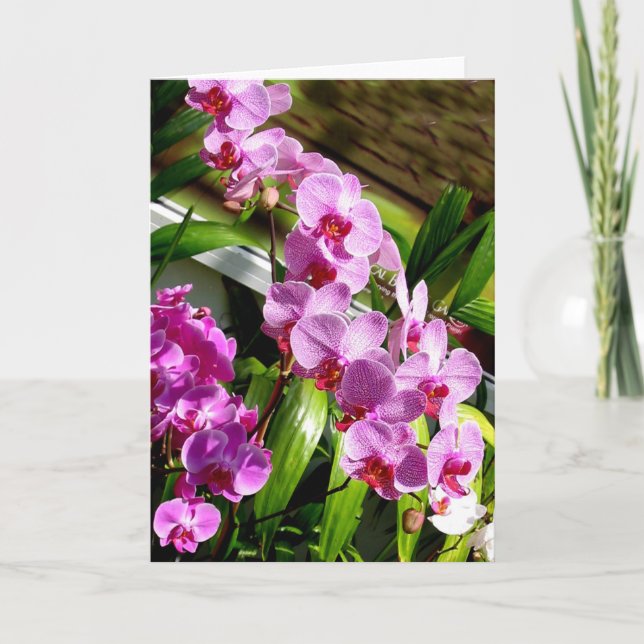 Cartão placa de dia de as mães feliz (Frente)