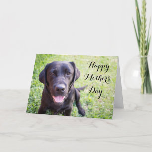 Cartão Placa de Dia de as mães feliz com labrador preto