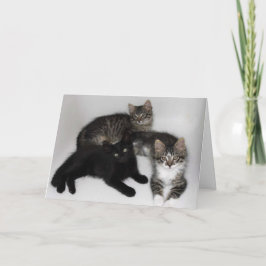 Cartão Placa de Dia de as mães Filho Favorita