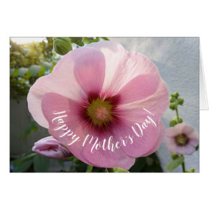 Cartão Placa de Dia de as mães Flor Rosa Hollyhock