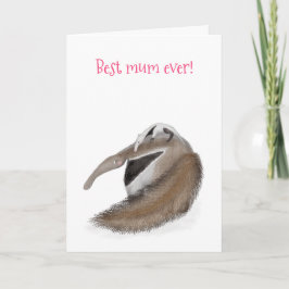 Cartão Placa de Dia de as mães "melhor mãe de sempre" do