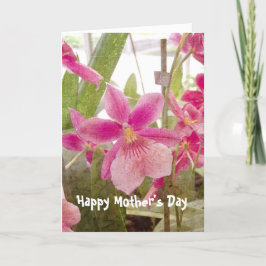 Cartão Placa de Dia de as mães Orchid rosa