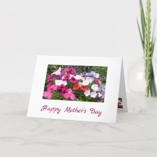 Cartão Placa de Dia de as mães Petunias, rosa e branca