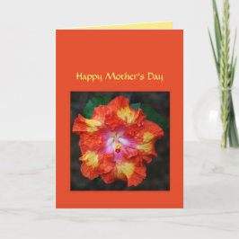 Cartão Placa de Dia de as mães Red Hot Hibiscus