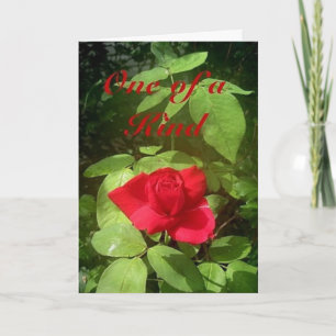 Cartão Placa de Dia de as mães rosa