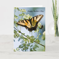 Placa de Dia de as mães Swallowtail Tiger