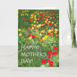 Cartão Placa de dia de as mães - 'Tulipas'