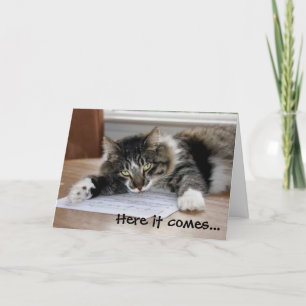 Cartão Placa de Dia de os pais de Gato de Hugging