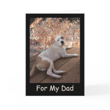 Placa de Dia de os pais de porca Pitbull irresistí